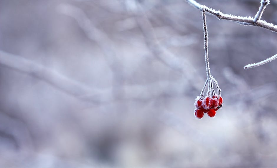 겨울 커플 여행의 완벽한 준비, 어떻게 해야 할까요?