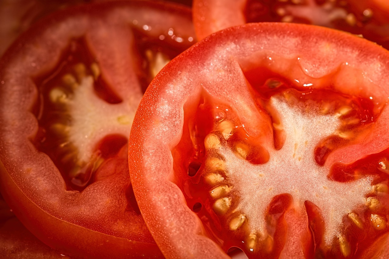 이유식토마토큐브