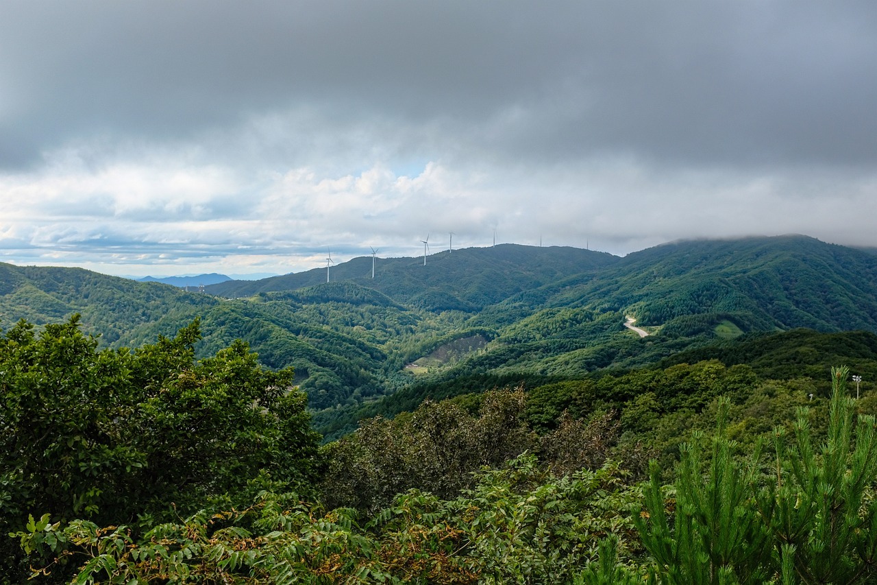 대구근교산행