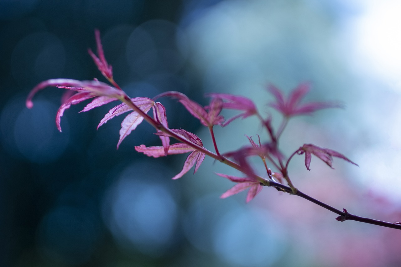 울산근교단풍