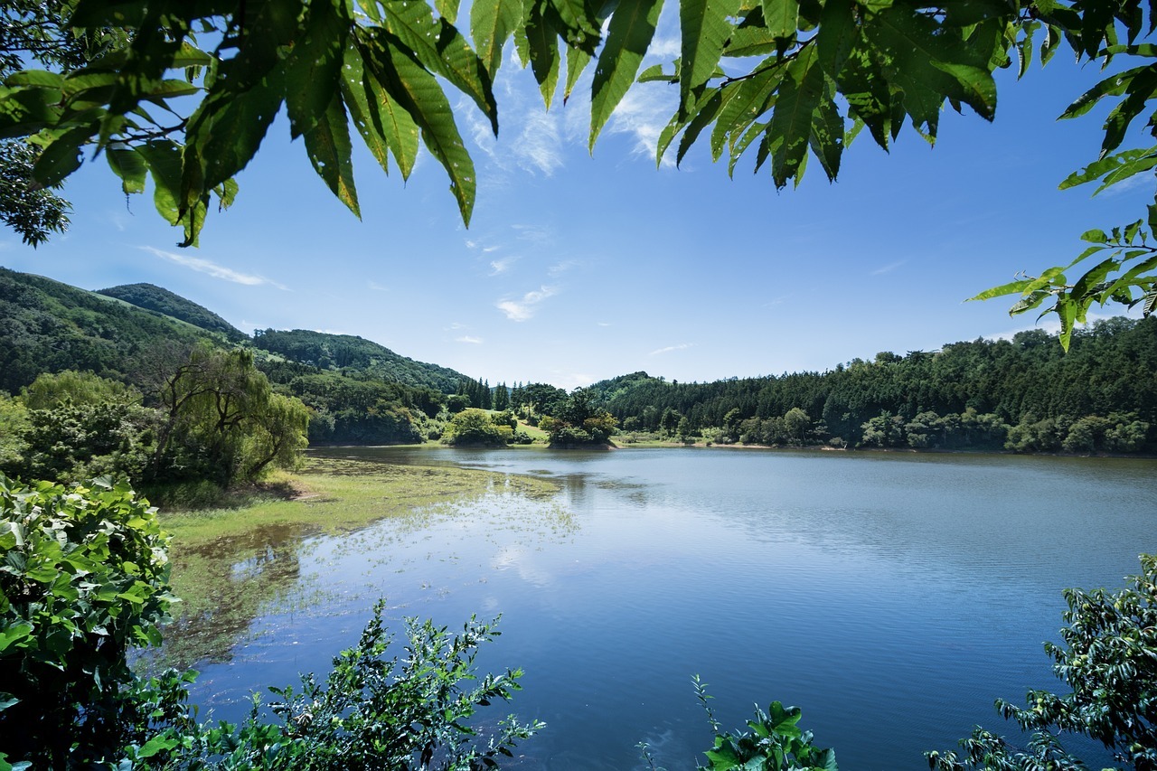 부산근교저수지