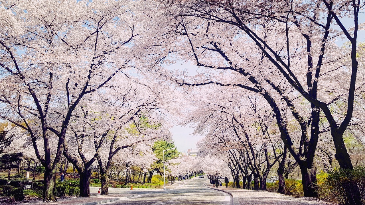 대구성모당근교맛집 추천 리스트 살펴보자